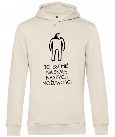 To jest miś