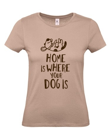 Home dog
