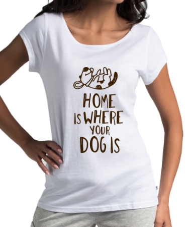 Home dog