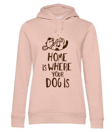 Home dog