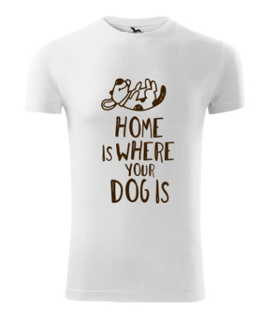 Home dog