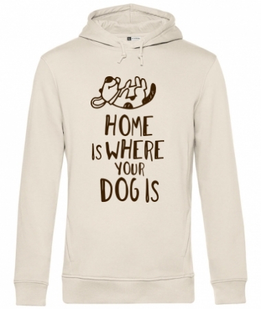 Home dog