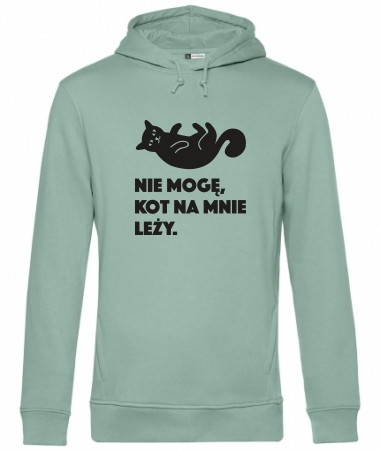 Kot leży