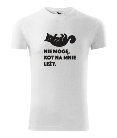 Kot leży