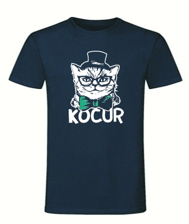 Kocur