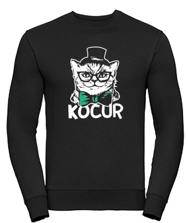 Kocur