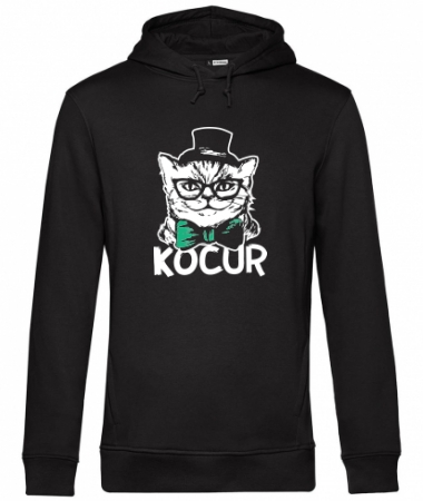 Kocur
