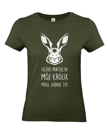 Królik