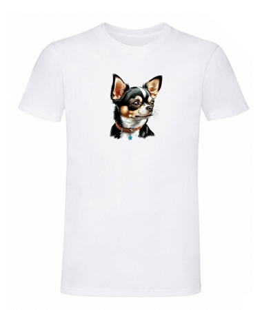 Chihuahua