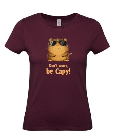 Z kapibarą [be Capy!]