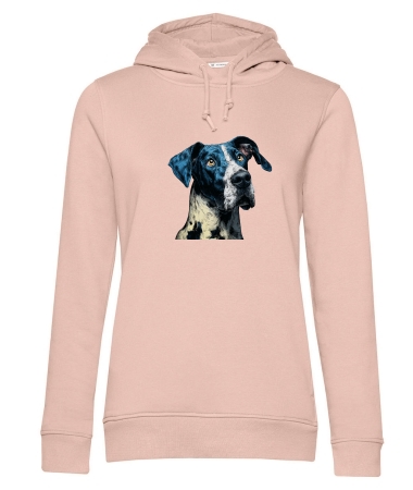 Dog niemiecki 