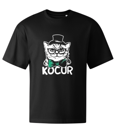 Kocur