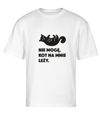Kot leży