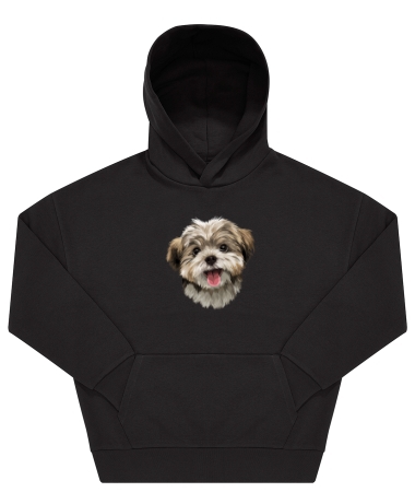 Pies Shih tzu