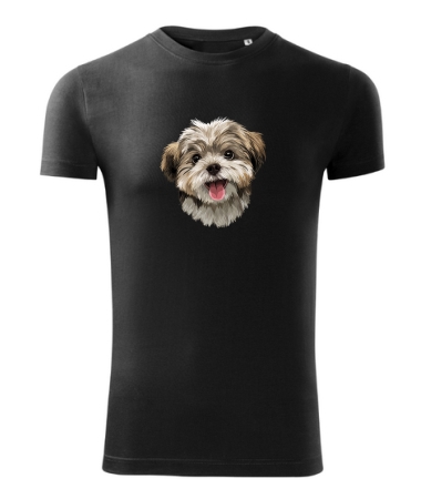 Pies Shih tzu