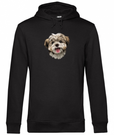 Pies Shih tzu