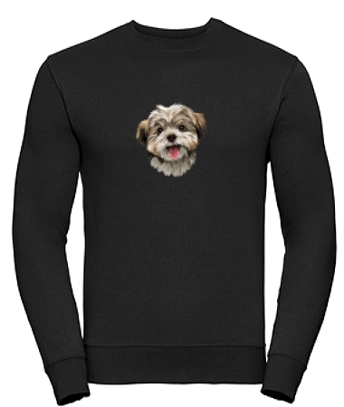Pies Shih tzu