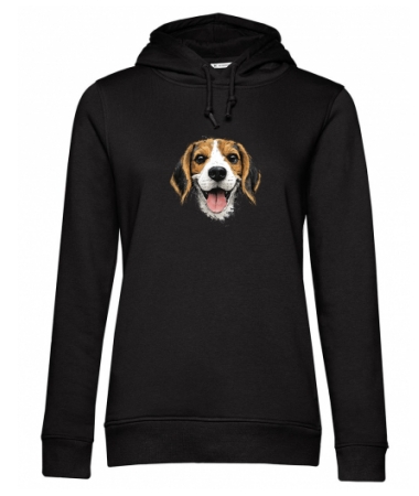 Beagle