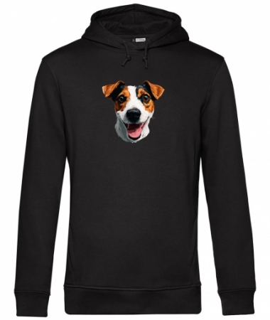 Jack Russell terrier